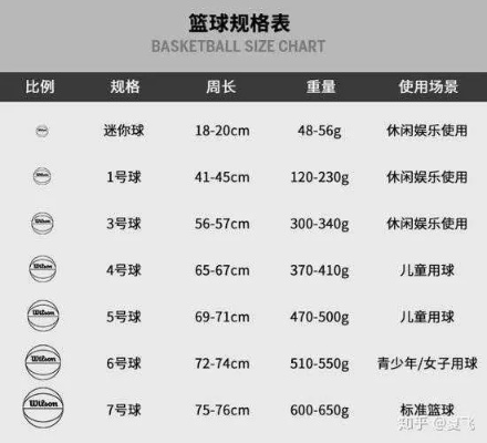 篮球的标准尺寸和重量是多少？-第3张图片-www.211178.com_果博福布斯