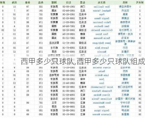 西甲联赛共有多少支球队 详细介绍西甲联赛的参赛球队-第2张图片-www.211178.com_果博福布斯